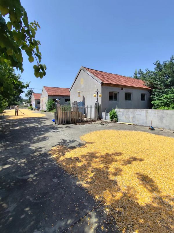 毛坯5室0廳0衛1490m2398萬元