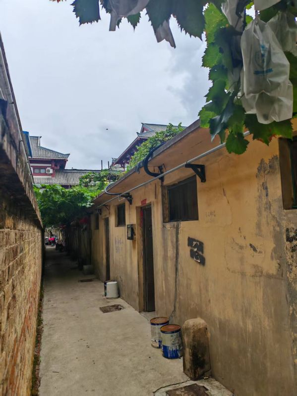 普通裝修3室2廳1衛105m21000元/月